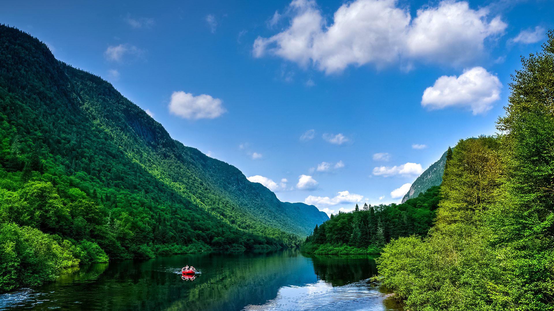 Shutterstock 323286584 2