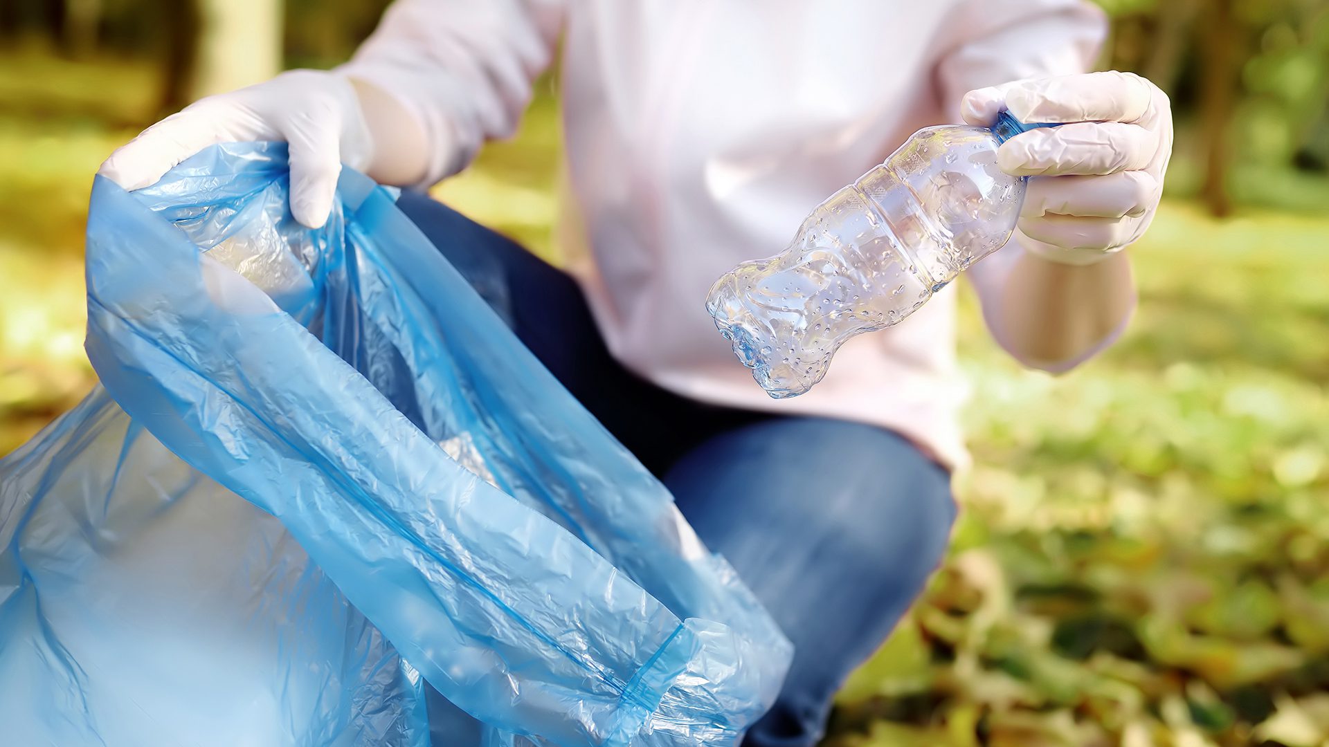 Shutterstock 1319216939 2