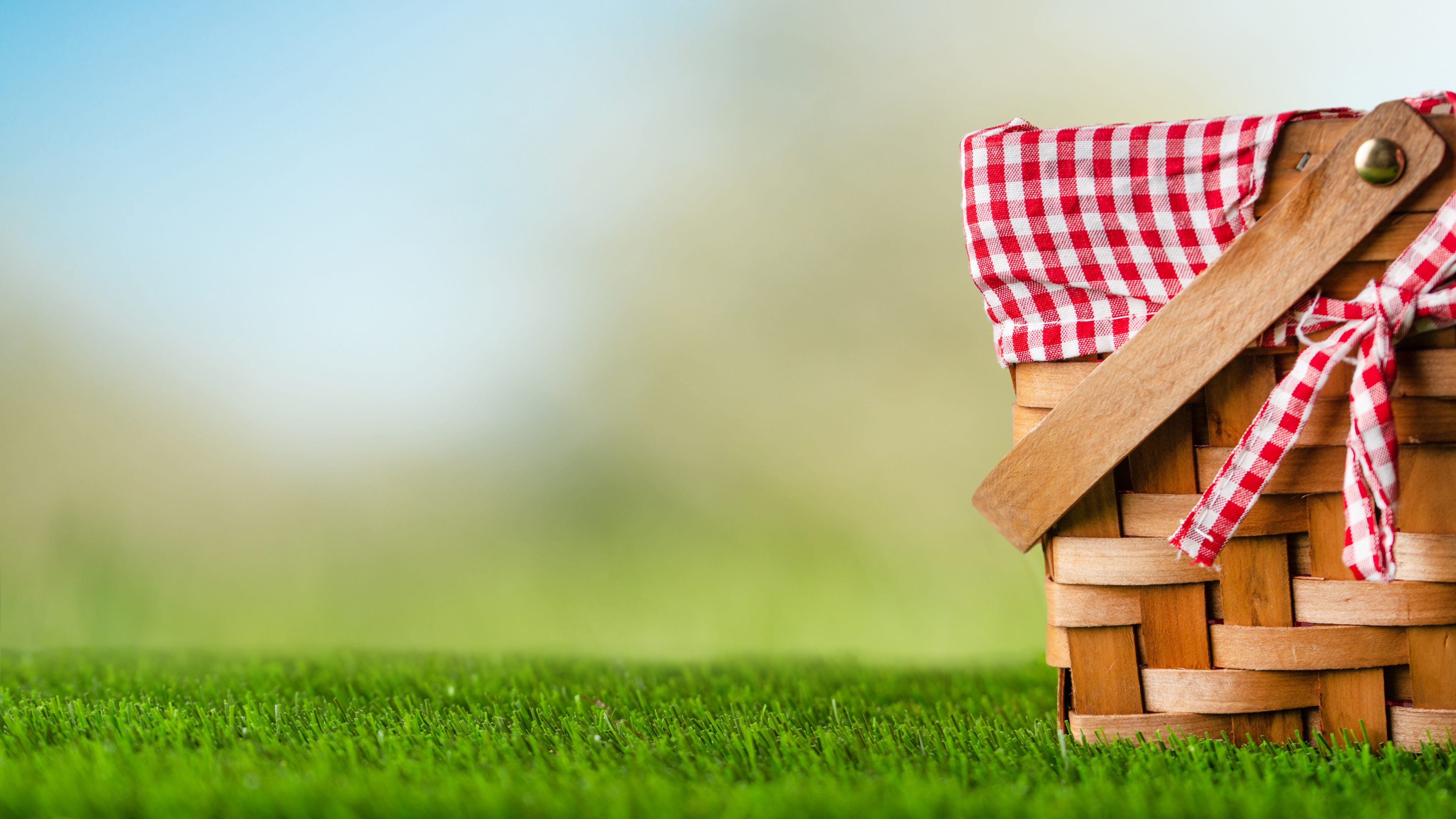 Shutterstock 1918214432