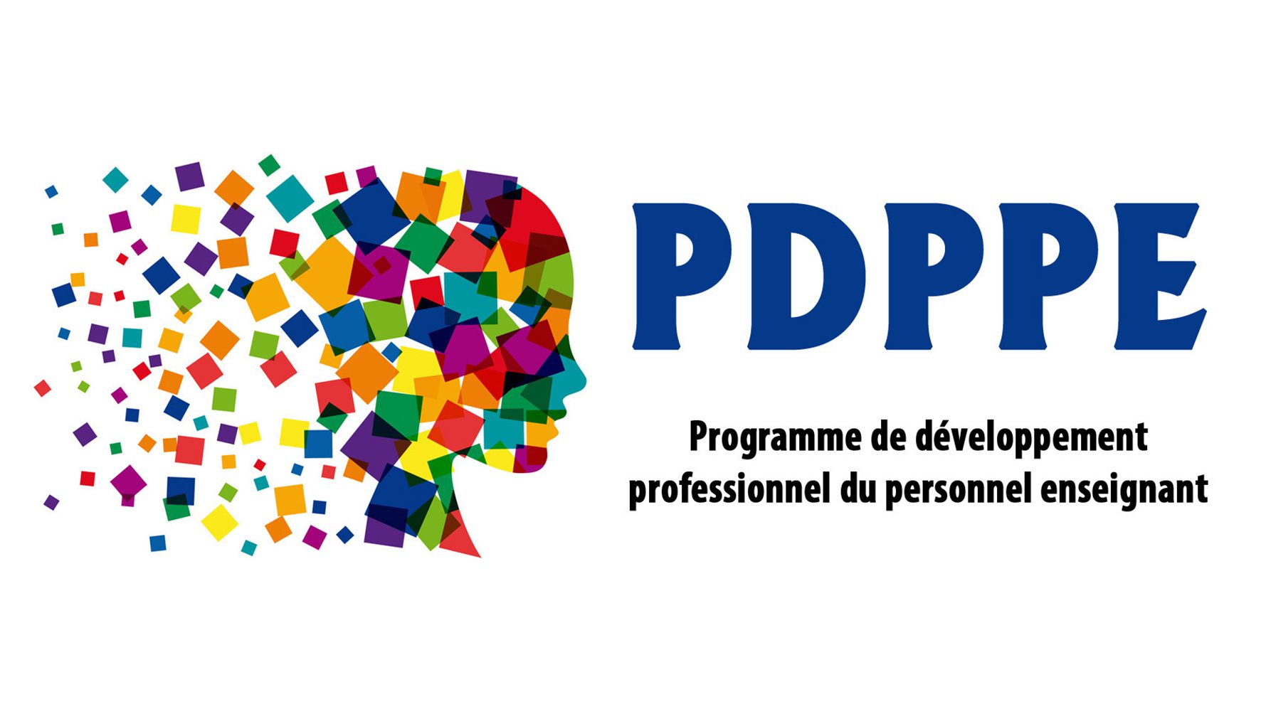 Logo PDPPE couleur