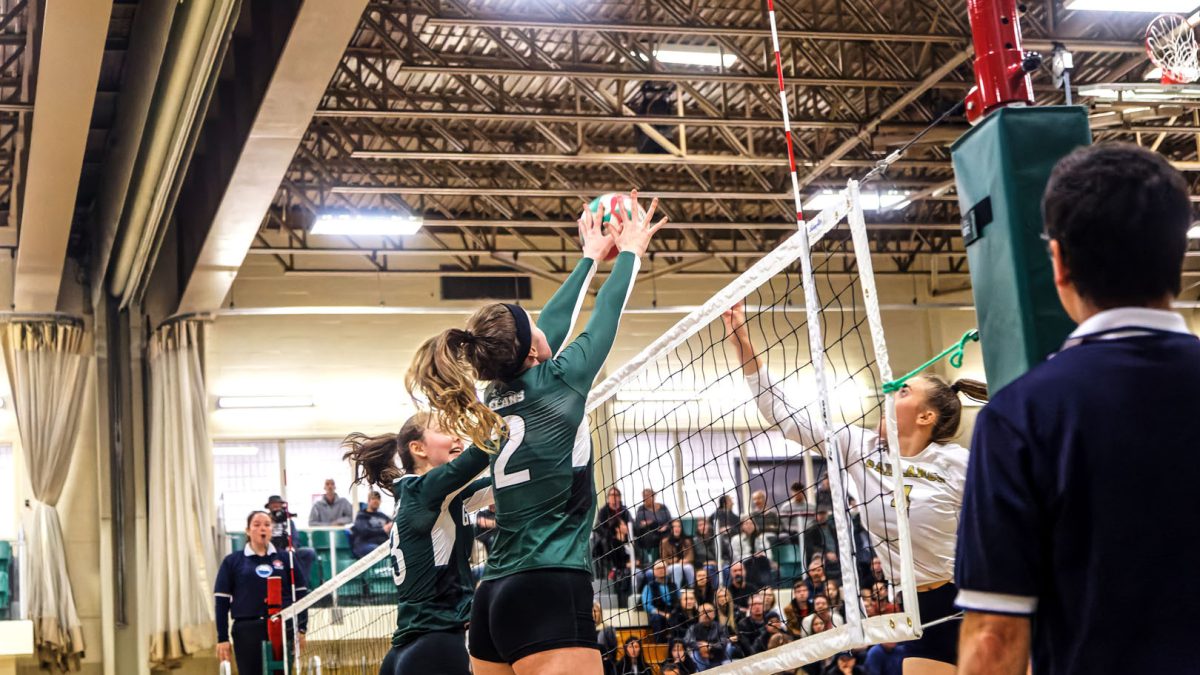 VBD1 F 299 A7083 Dx O