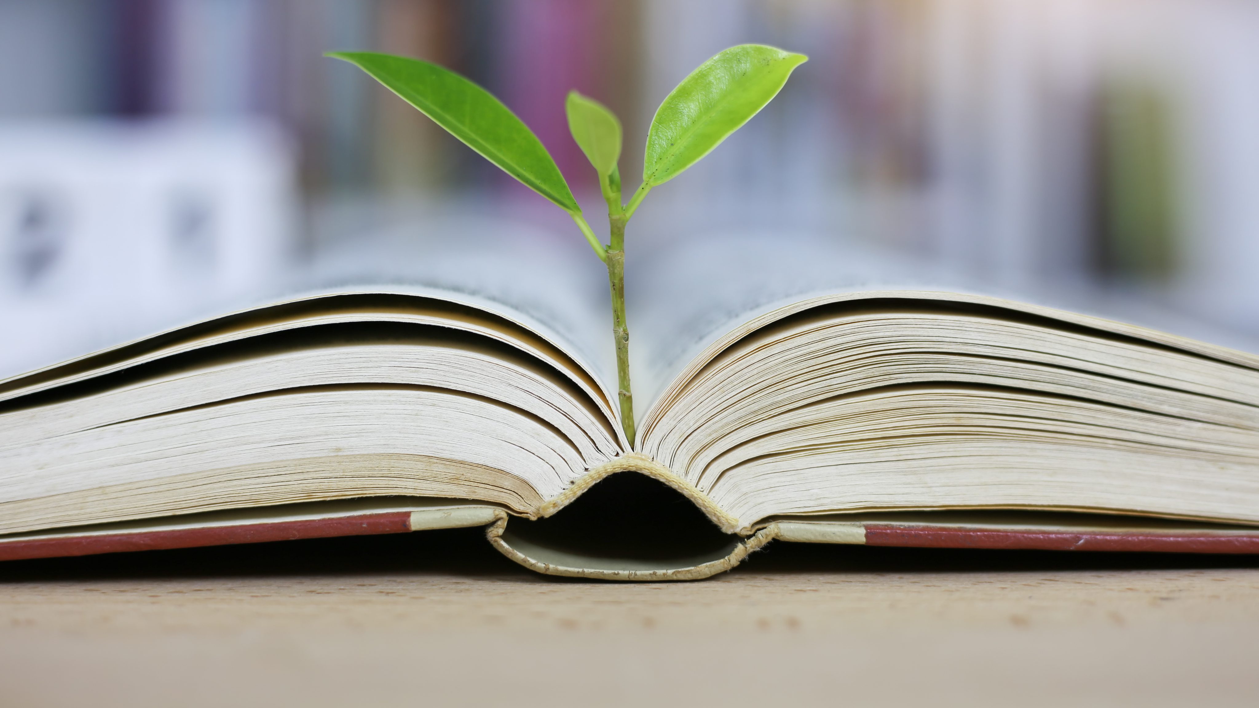 Shutterstock 1496764382