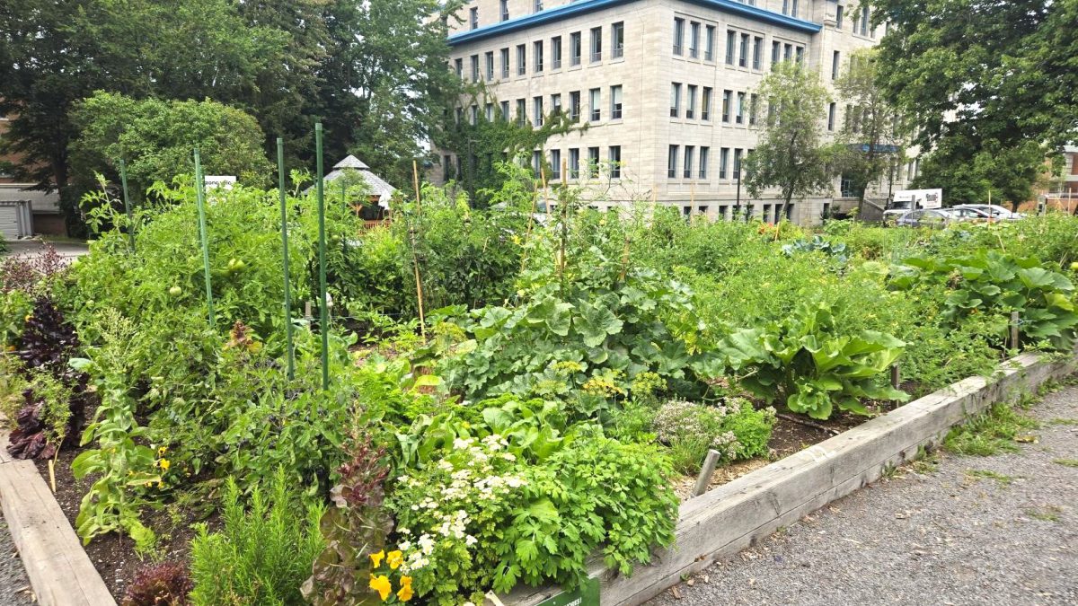 Jardin de l39 Entente