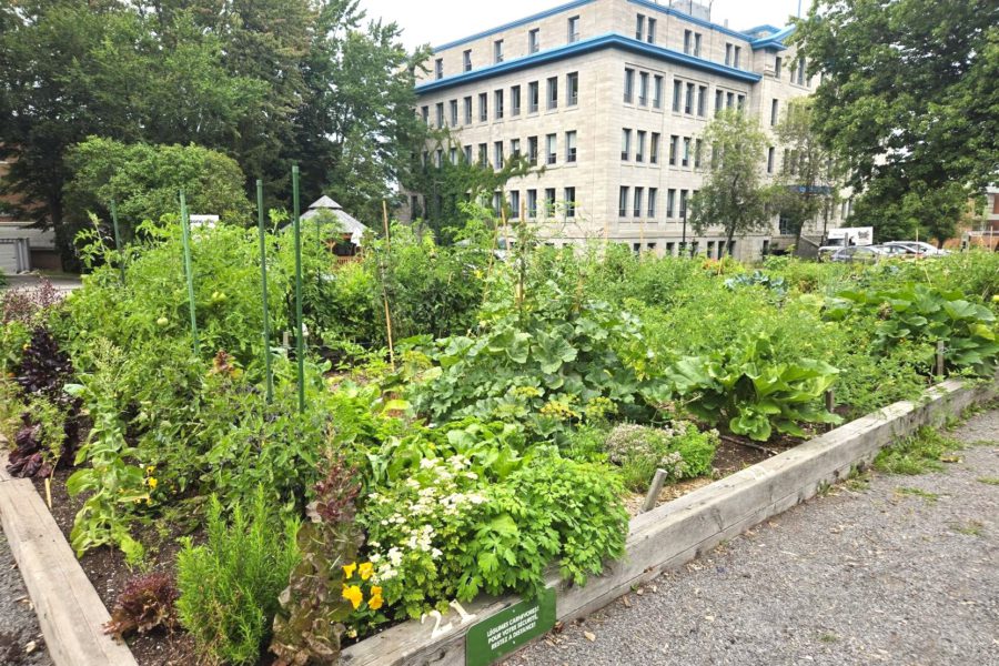 Jardin de l39 Entente