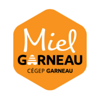 Logo Miel Garneau Alveole Orange NB