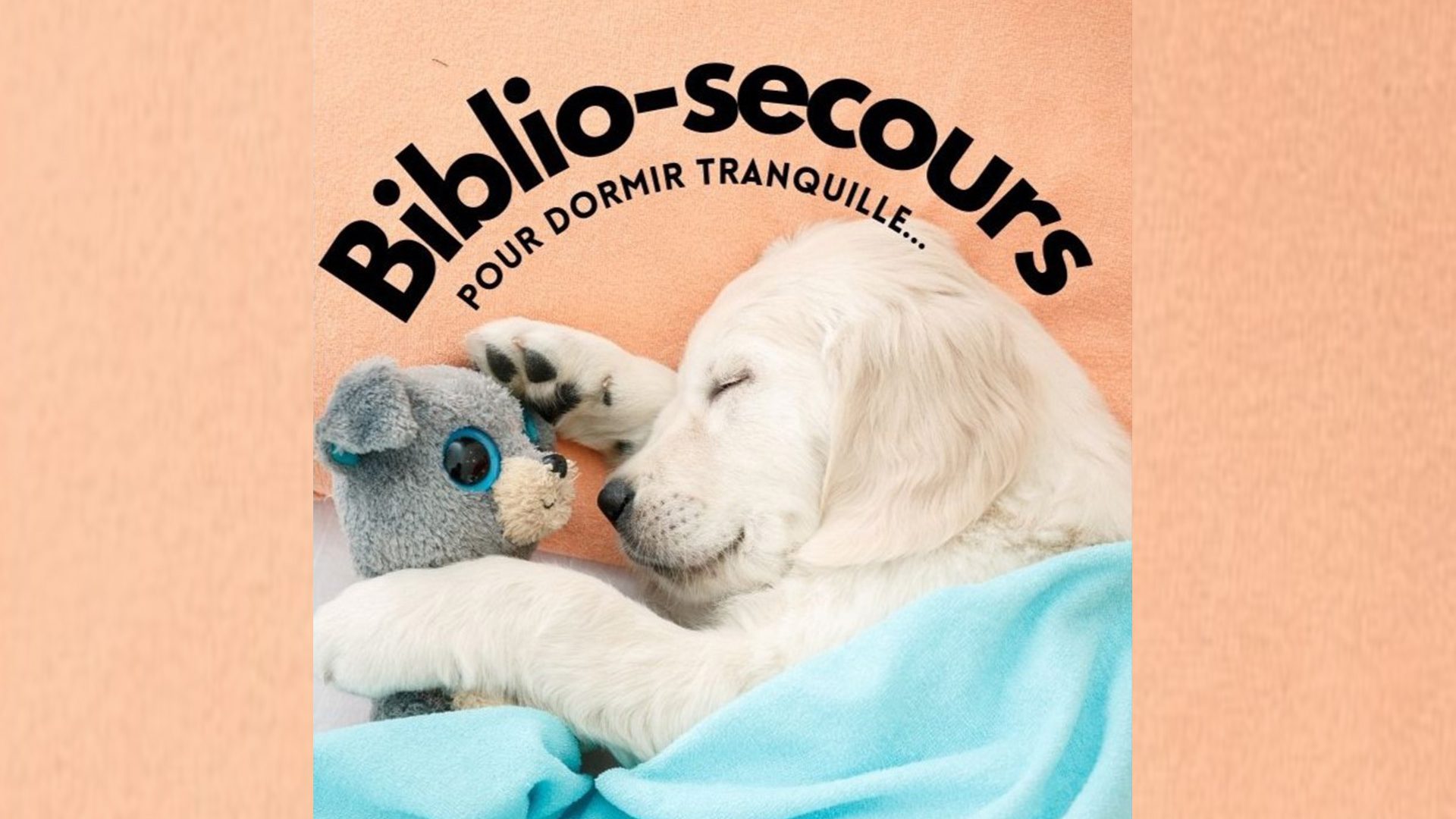 Biblio Secours