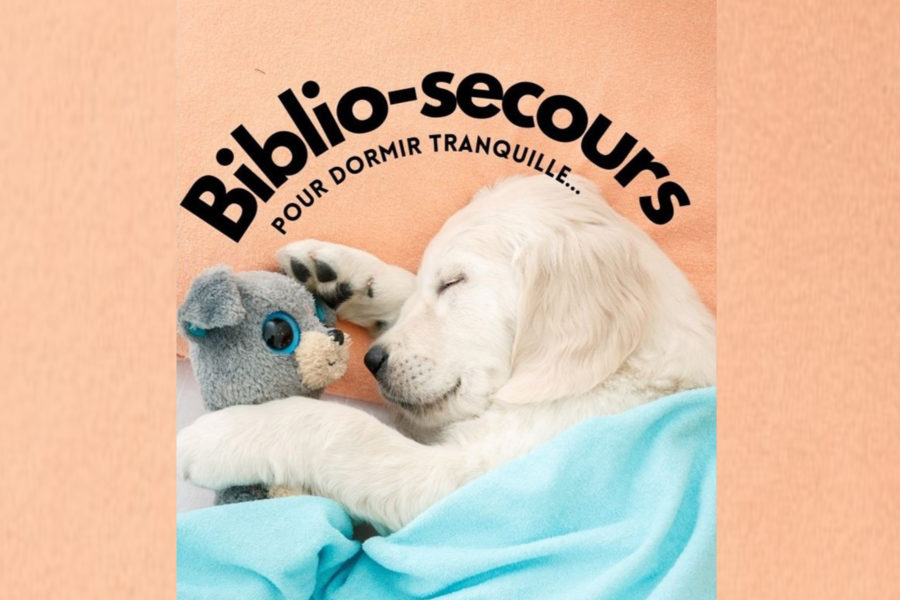 Biblio Secours