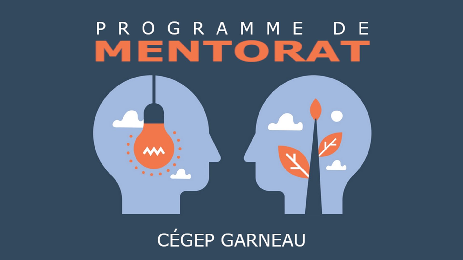 Mentorat