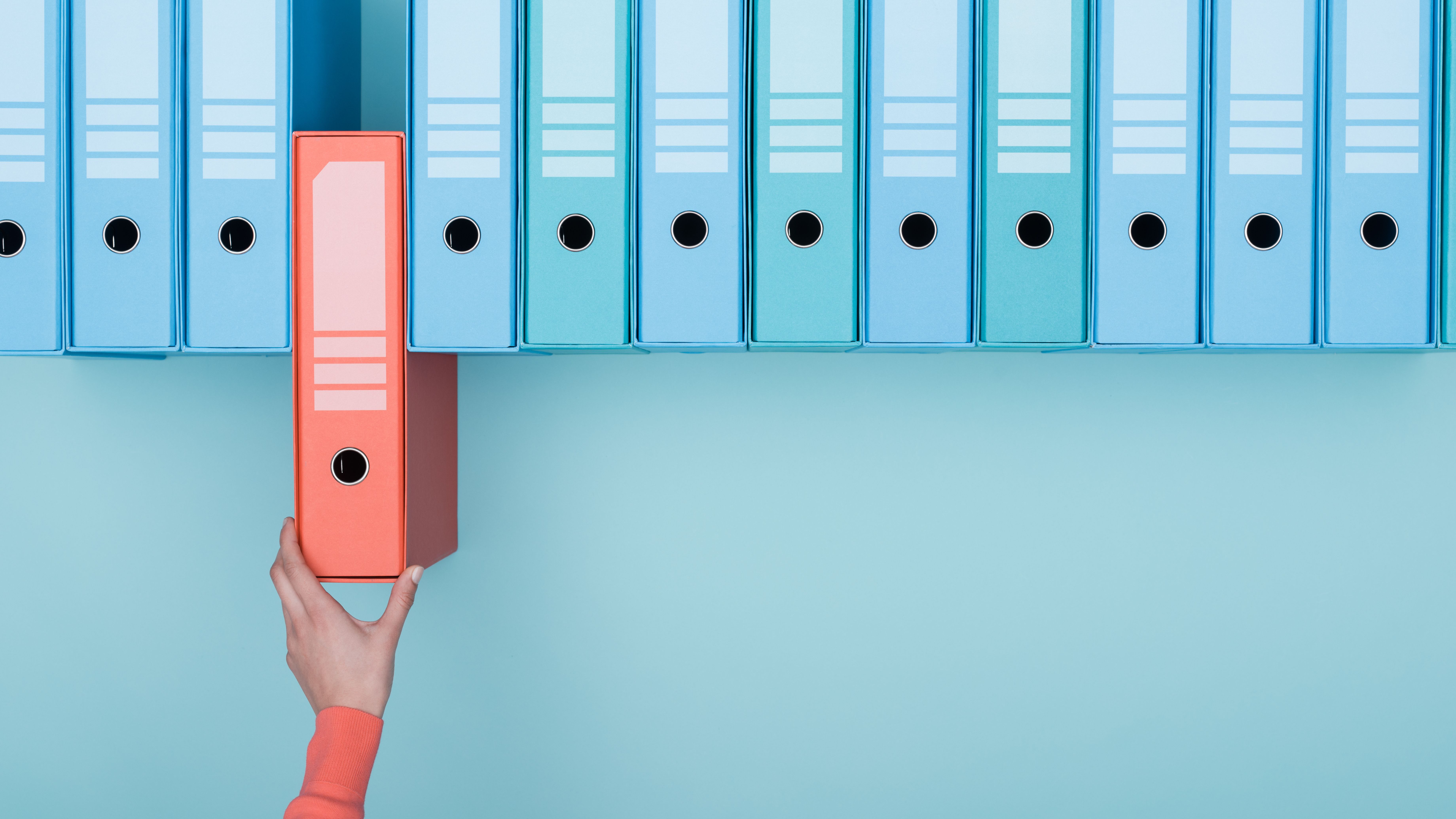 Shutterstock 1025555566