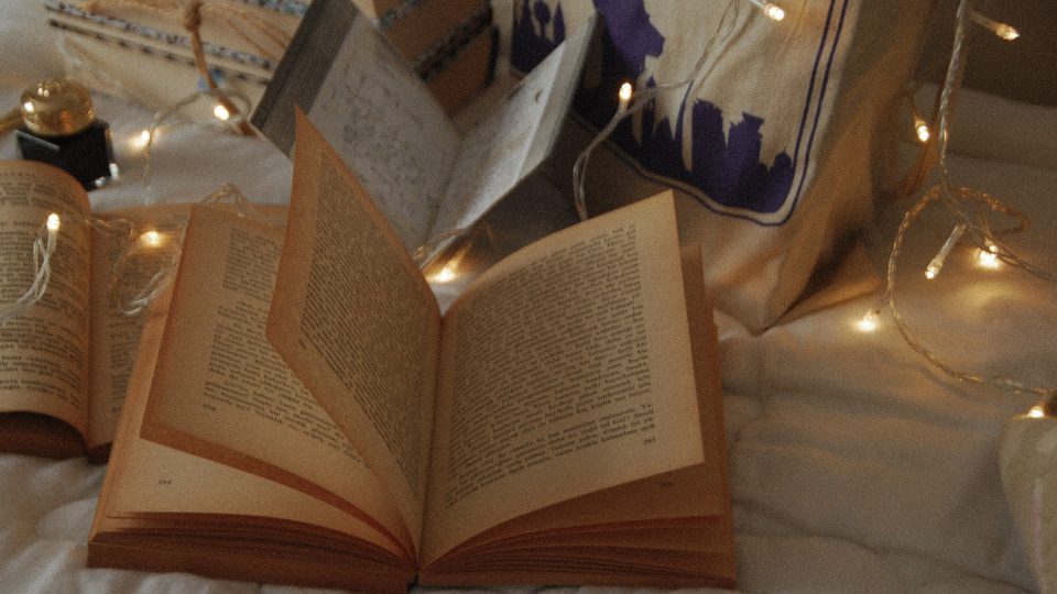 Affiche Flash Garneau 900 x 600 px