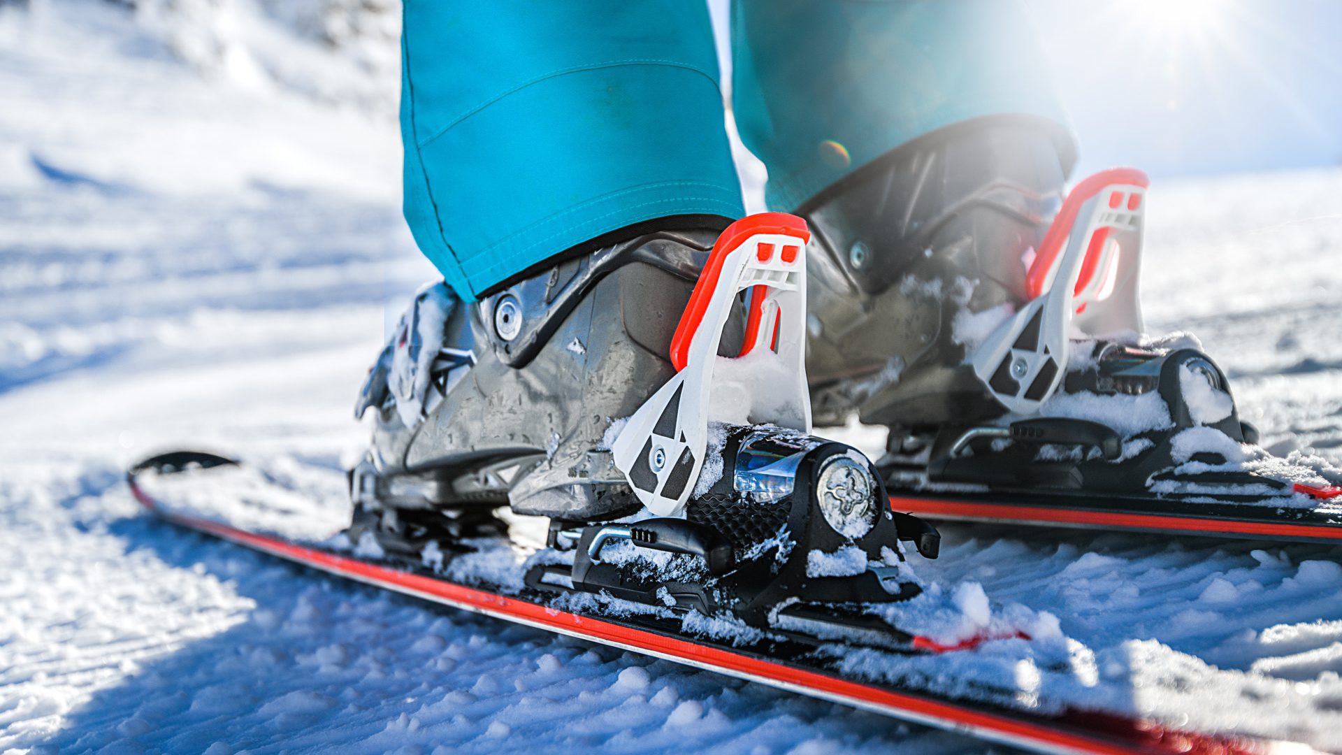 Shutterstock 1314073232 2