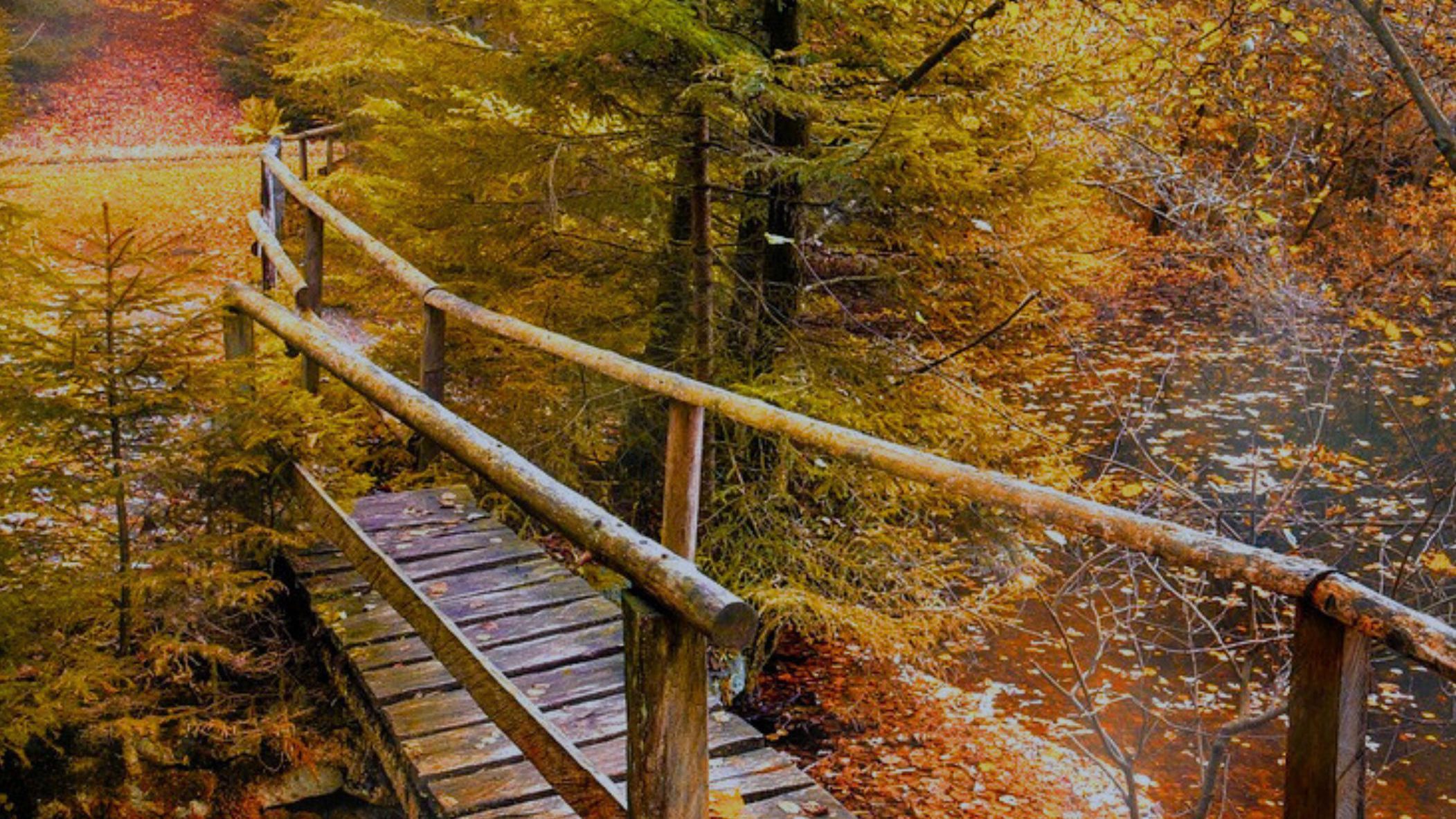 Affiche Marie Isabelle 1