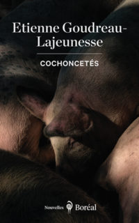 Cochoncetes couv seule WEB