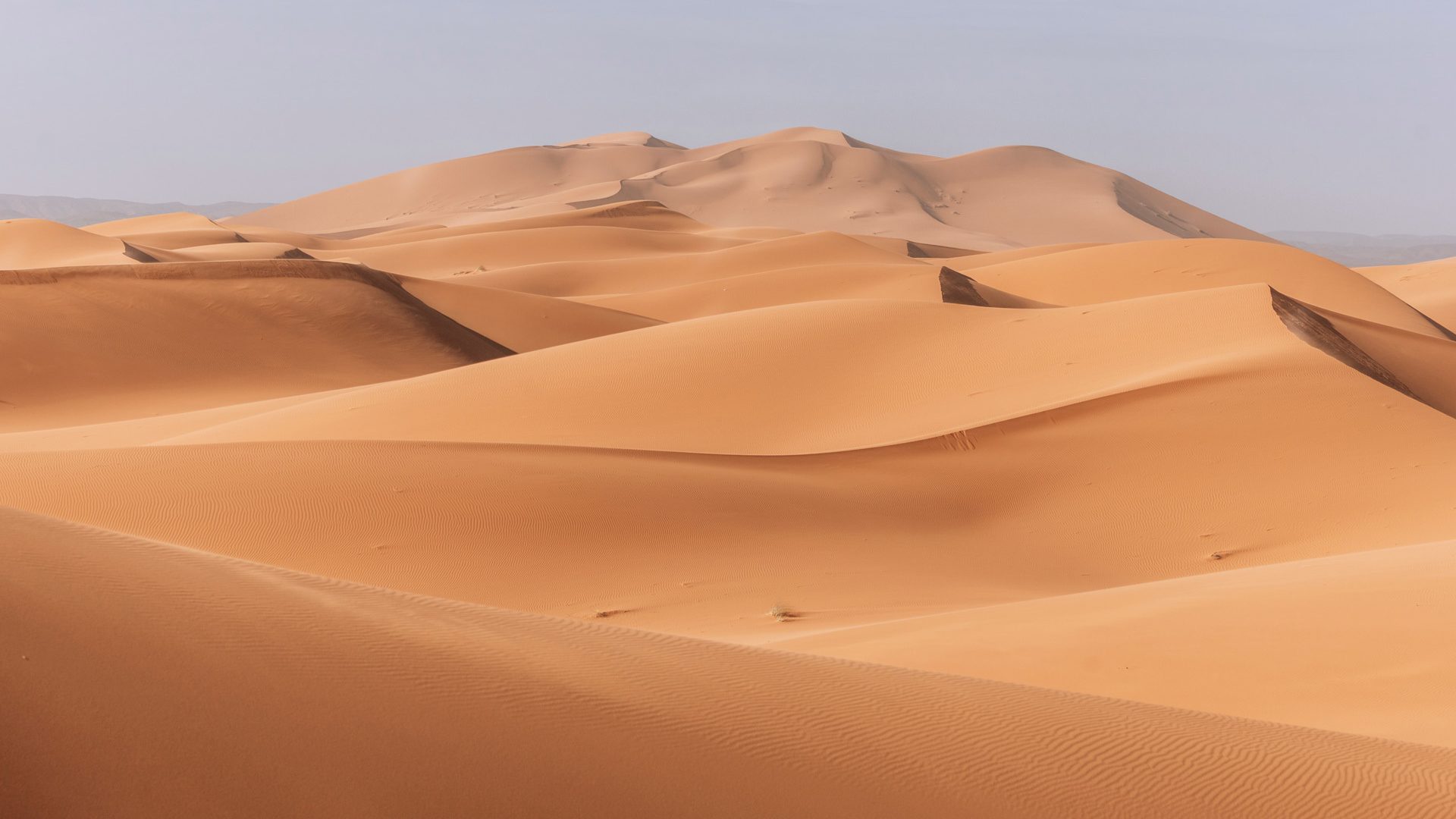 Shutterstock 2492031799 2