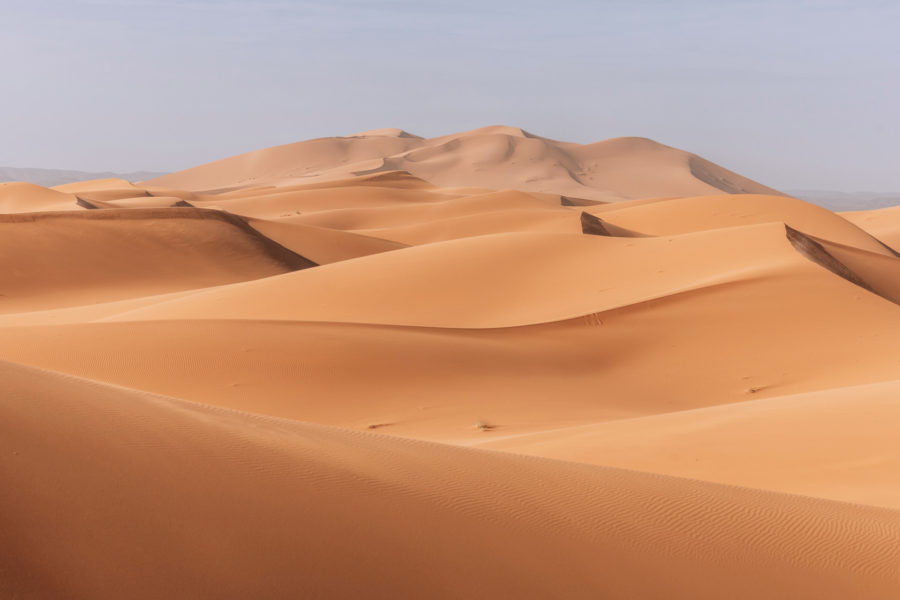 Shutterstock 2492031799 2