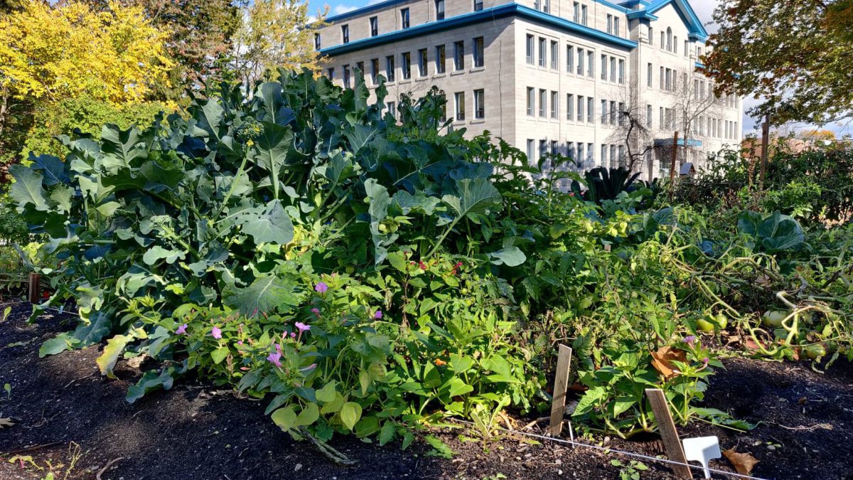 121324622 878558232890081 523453683651635119 n