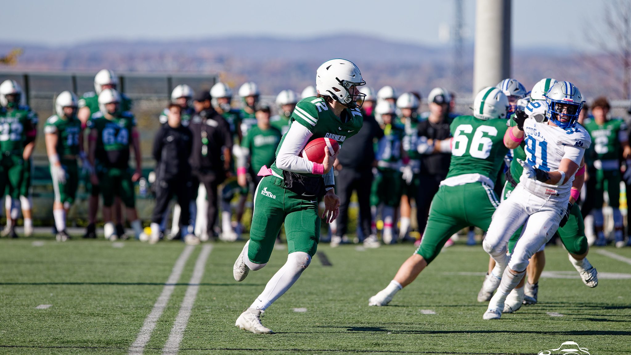 54080178774 1d4457fc9e k