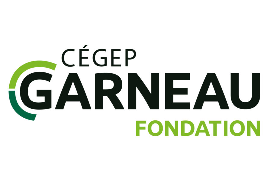 Logo Fondation