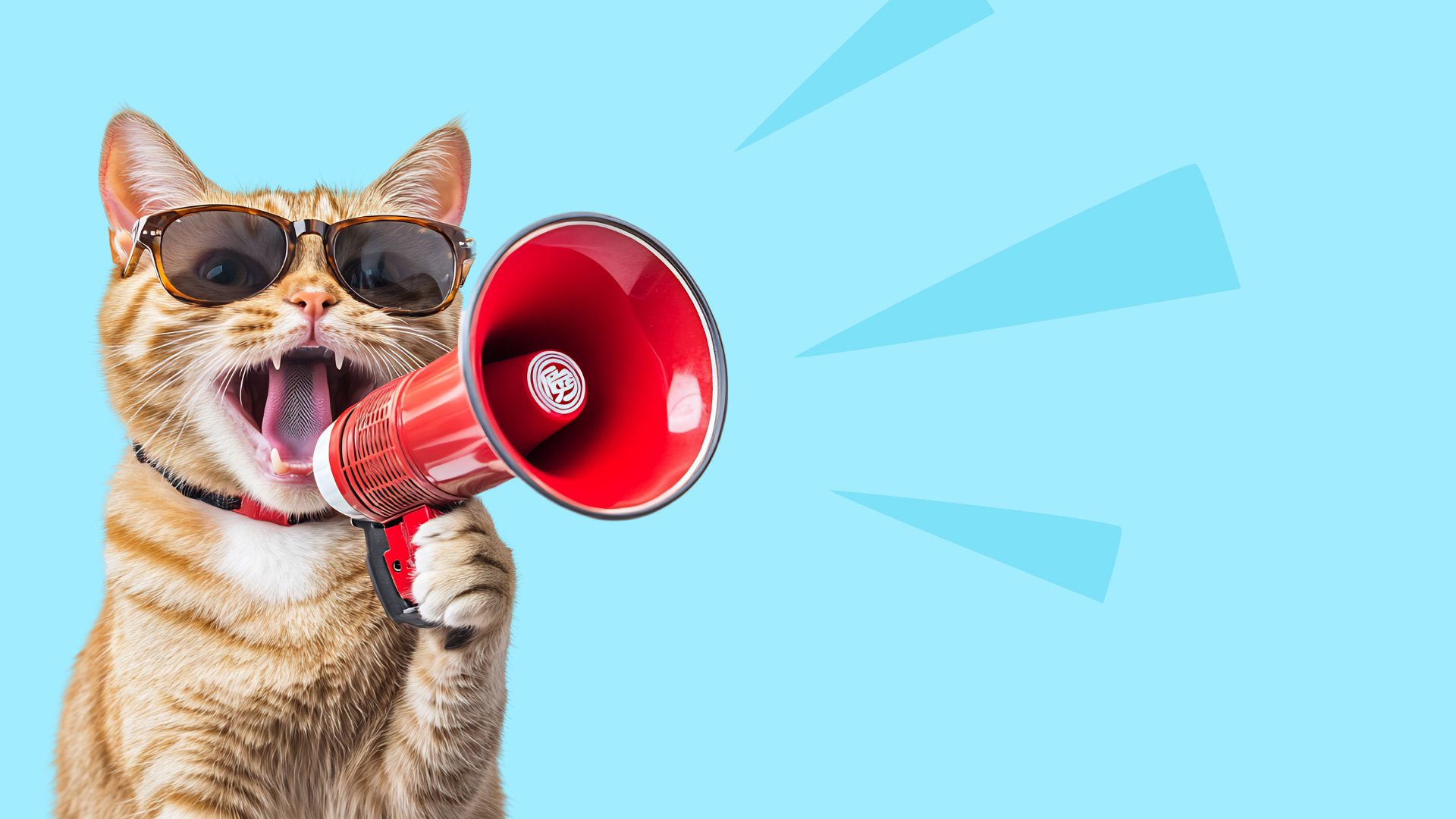 Actualite delai 7 jours v2