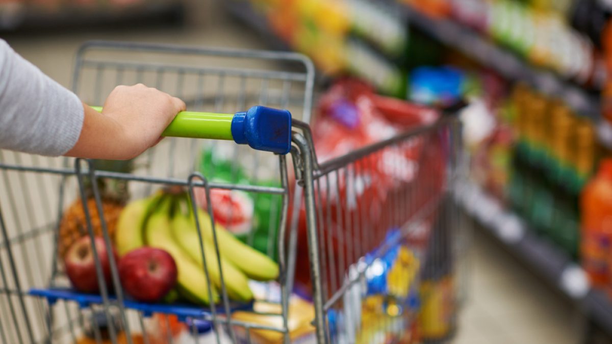 Shutterstock 2139873041