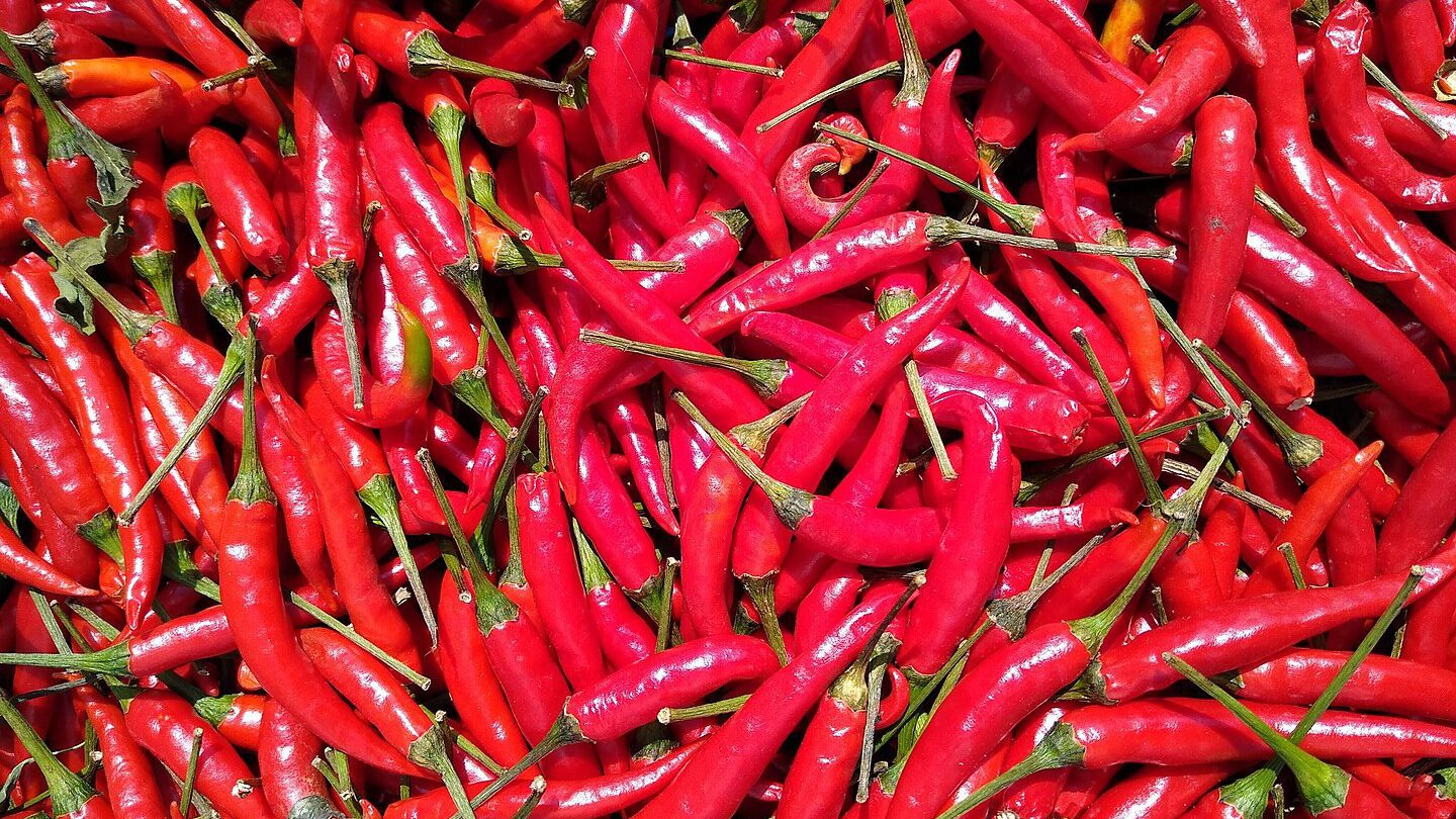 1440px Peppers in Vientiane