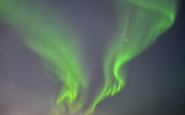 IMG 1208