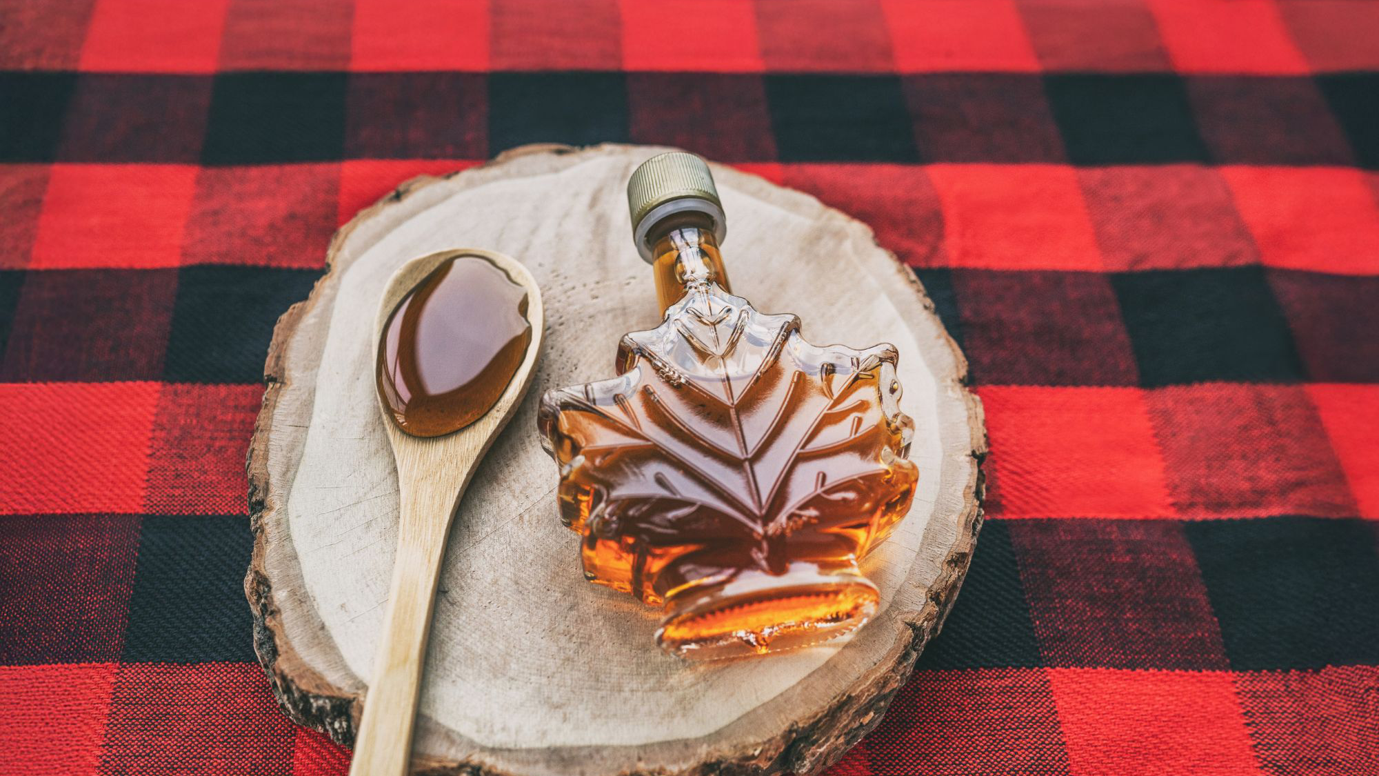 2026 03 23 Affiche Cabane2