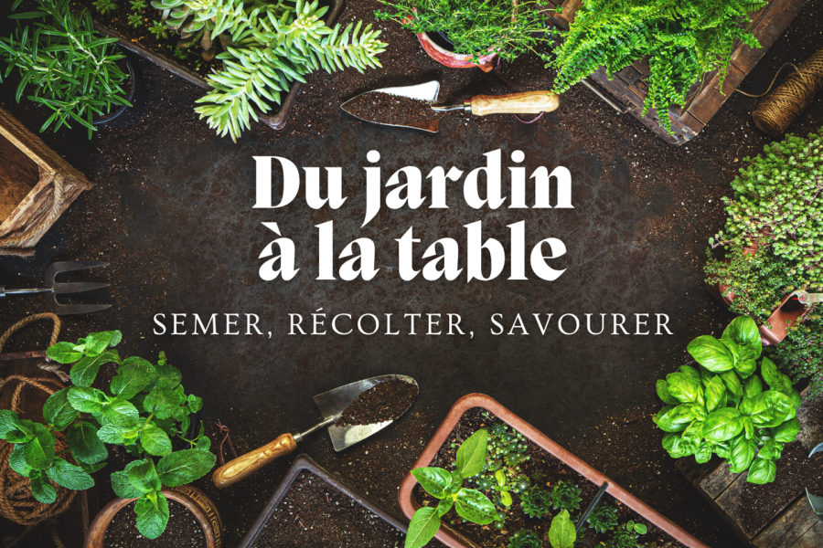 Jardin