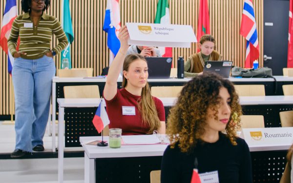 Simulation ONU 2026 8