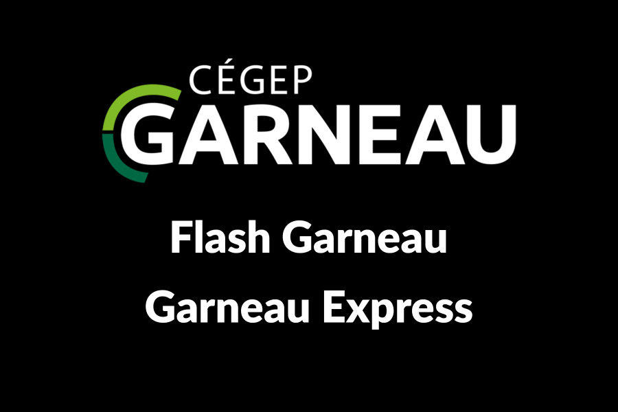 Flash GE