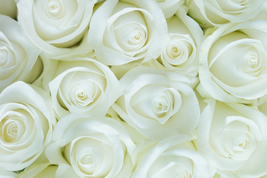 Roses 2746116 1920