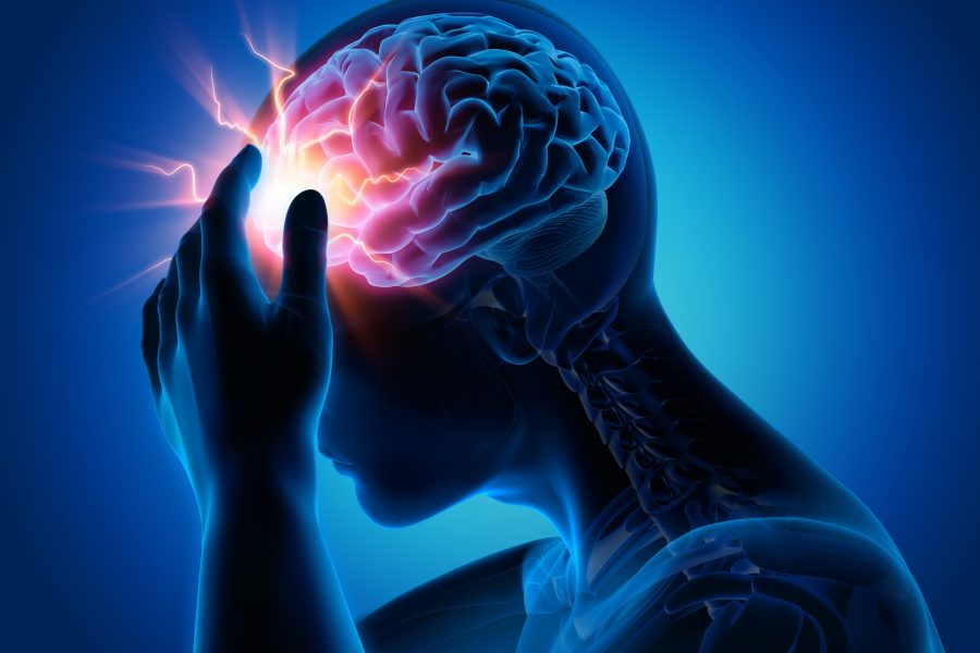 Shutterstock 1425341744