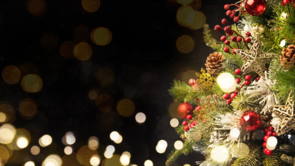 Shutterstock 1555783937